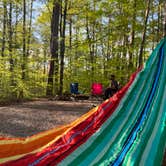 Review photo of Tipsaw Lake by Sarah W., April 27, 2025
