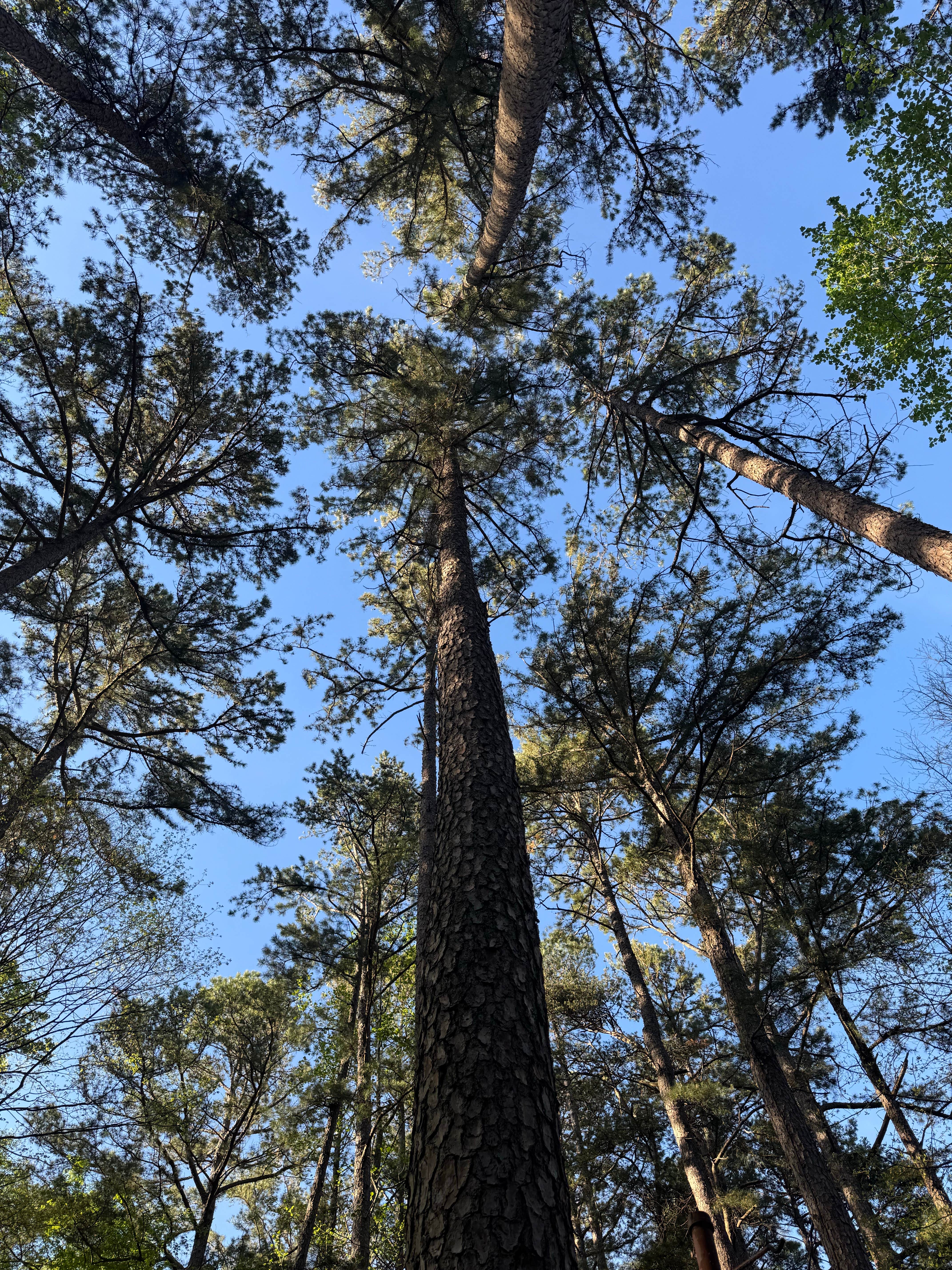 Camper-submitted photo at Tipsaw Lake near Leavenworth, IN