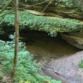 Review photo of Turkey Run State Park Campground — Turkey Run State Park by cathyL , June 7, 2024