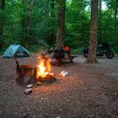 Review photo of Turkey Run State Park Campground — Turkey Run State Park by Staci W., May 30, 2024