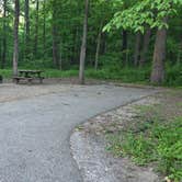Review photo of Turkey Run State Park Campground — Turkey Run State Park by leif D., May 20, 2025