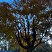 Review photo of Turkey Run State Park Campground by Angie S., November 3, 2025