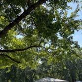 Review photo of White River Campground by Moishe F., July 3, 2026