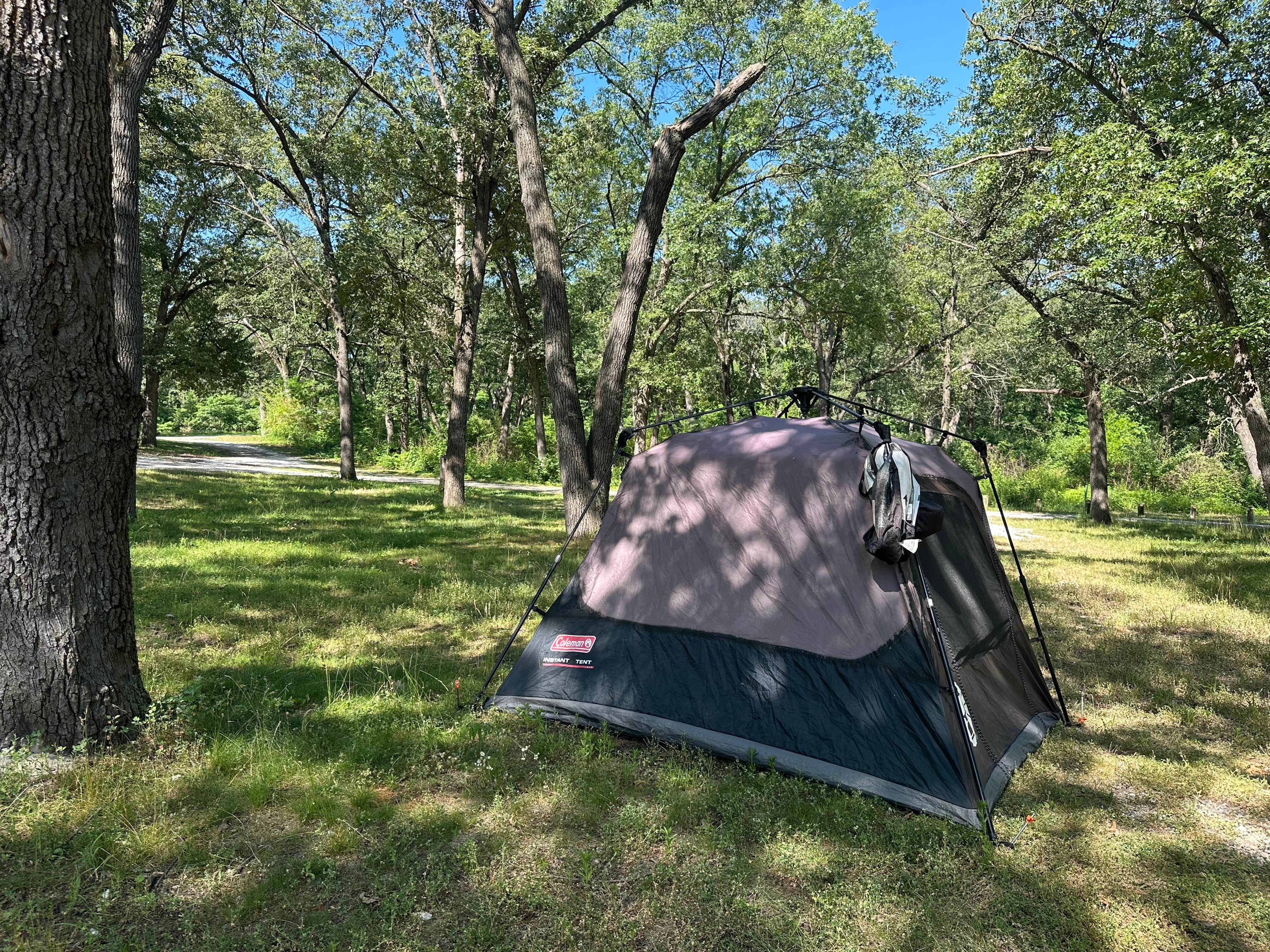Camper submitted image from Willow Slough Fish & Wildlife Area - 1