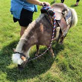 Review photo of Ingalls Homestead by Michelle B., July 7, 2024