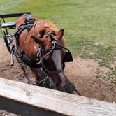 Review photo of Ingalls Homestead by Michelle B., July 7, 2024