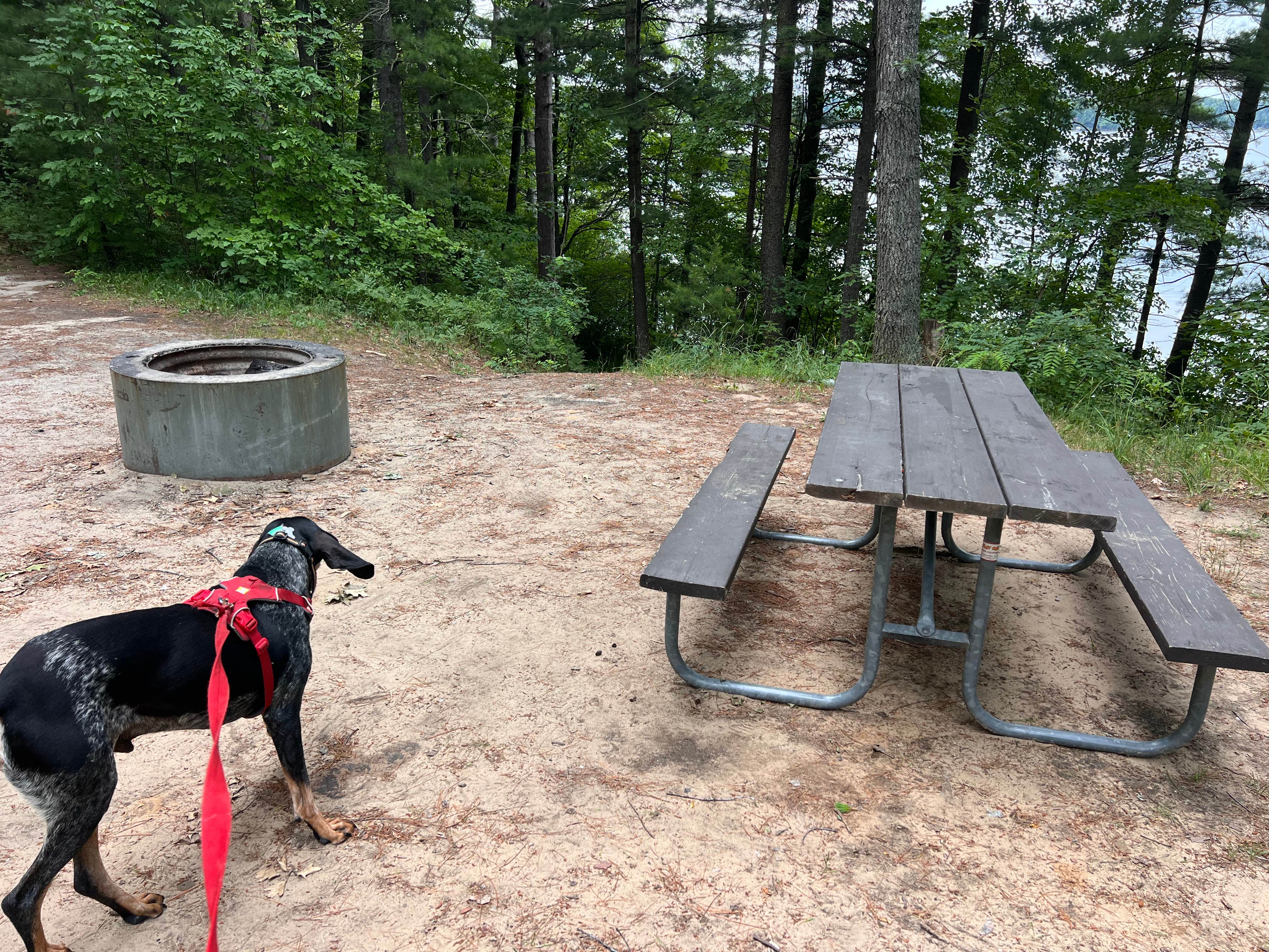 Camper-submitted photo at Green Lake Rustic North — Interlochen State Park near Maple City, MI