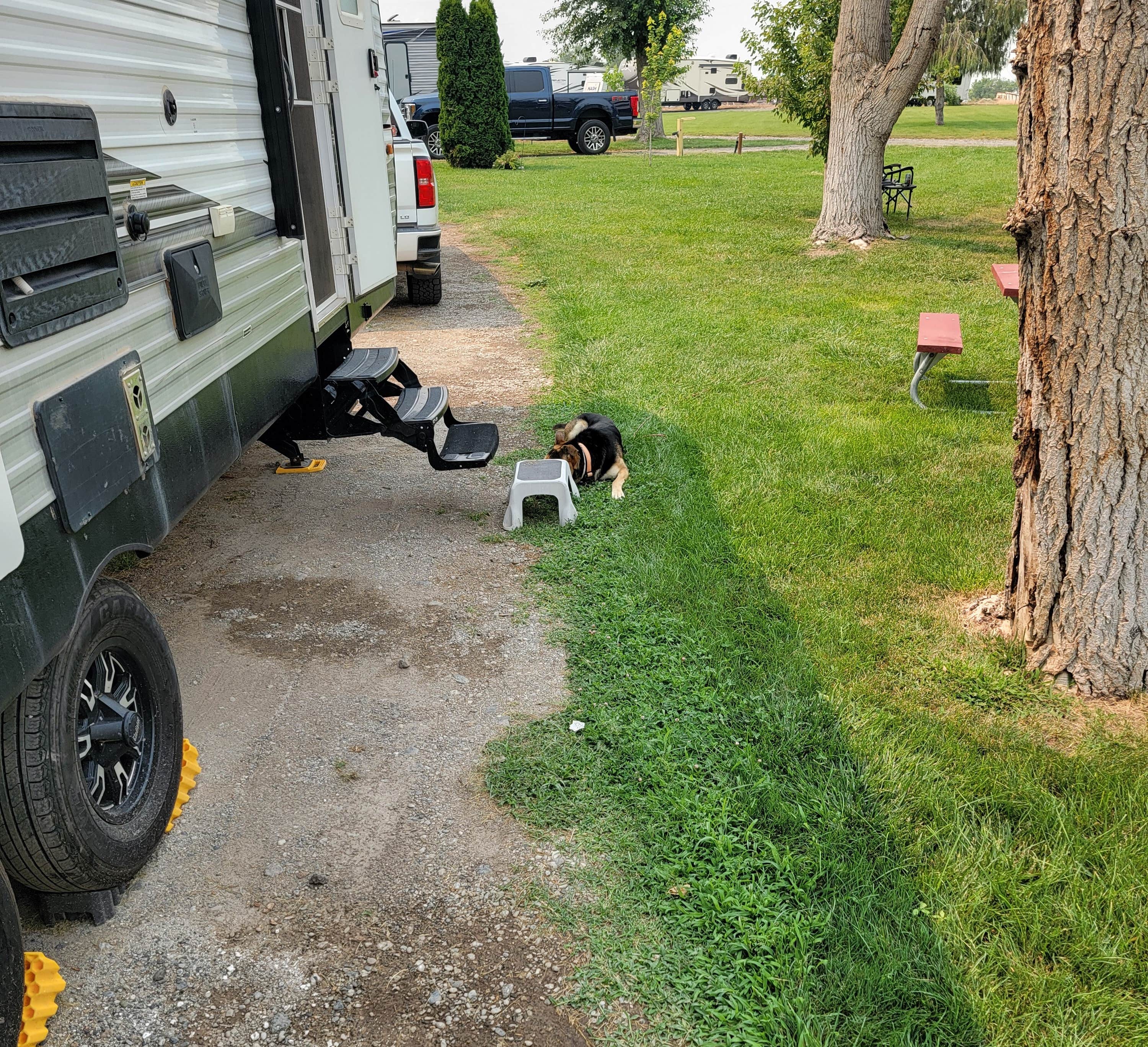 George B.'s photo of camping with pets at Wilson's RV Park near Jerome, ID