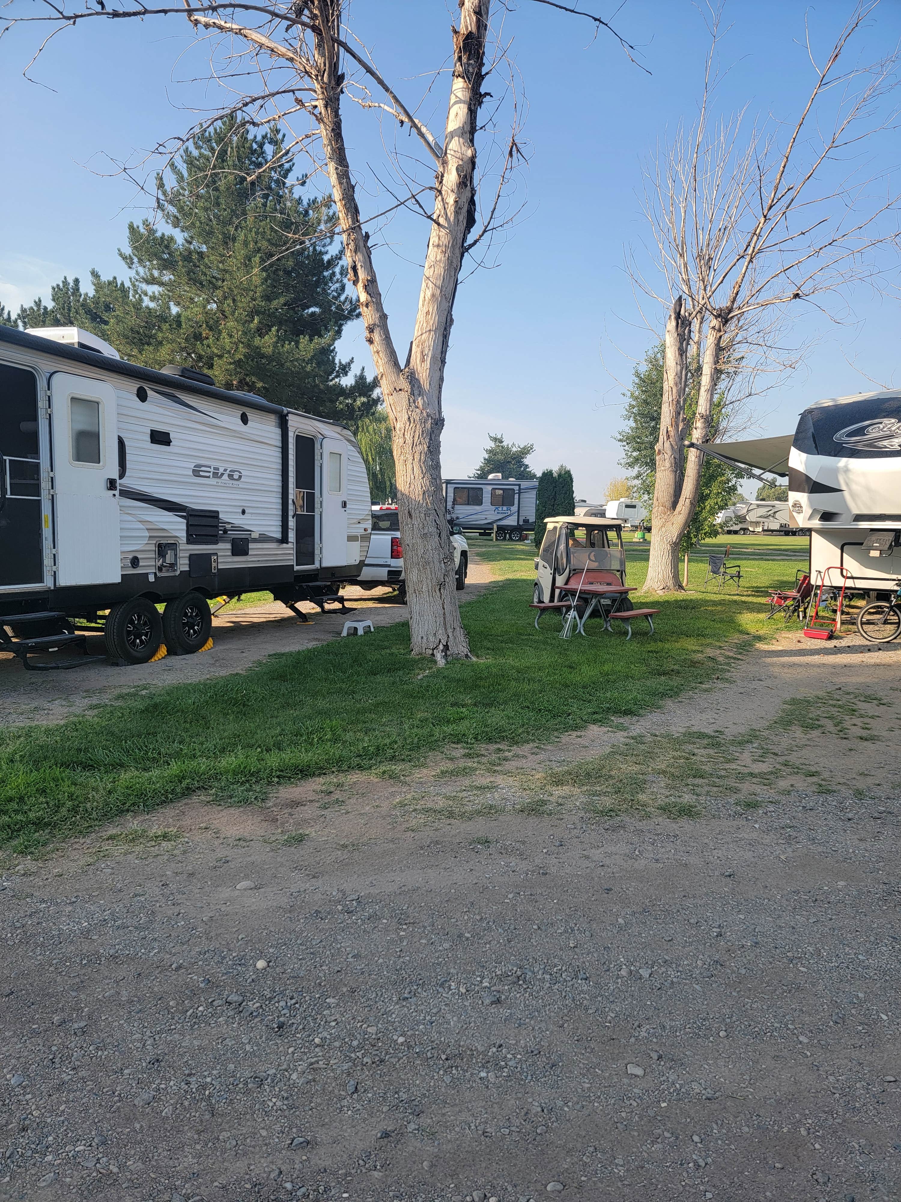 Camper submitted image from Wilson's RV Park - 5