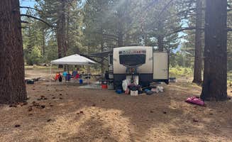 Randy W.'s photo at Inyo National Forest Dispersed Camping near June Lake, CA