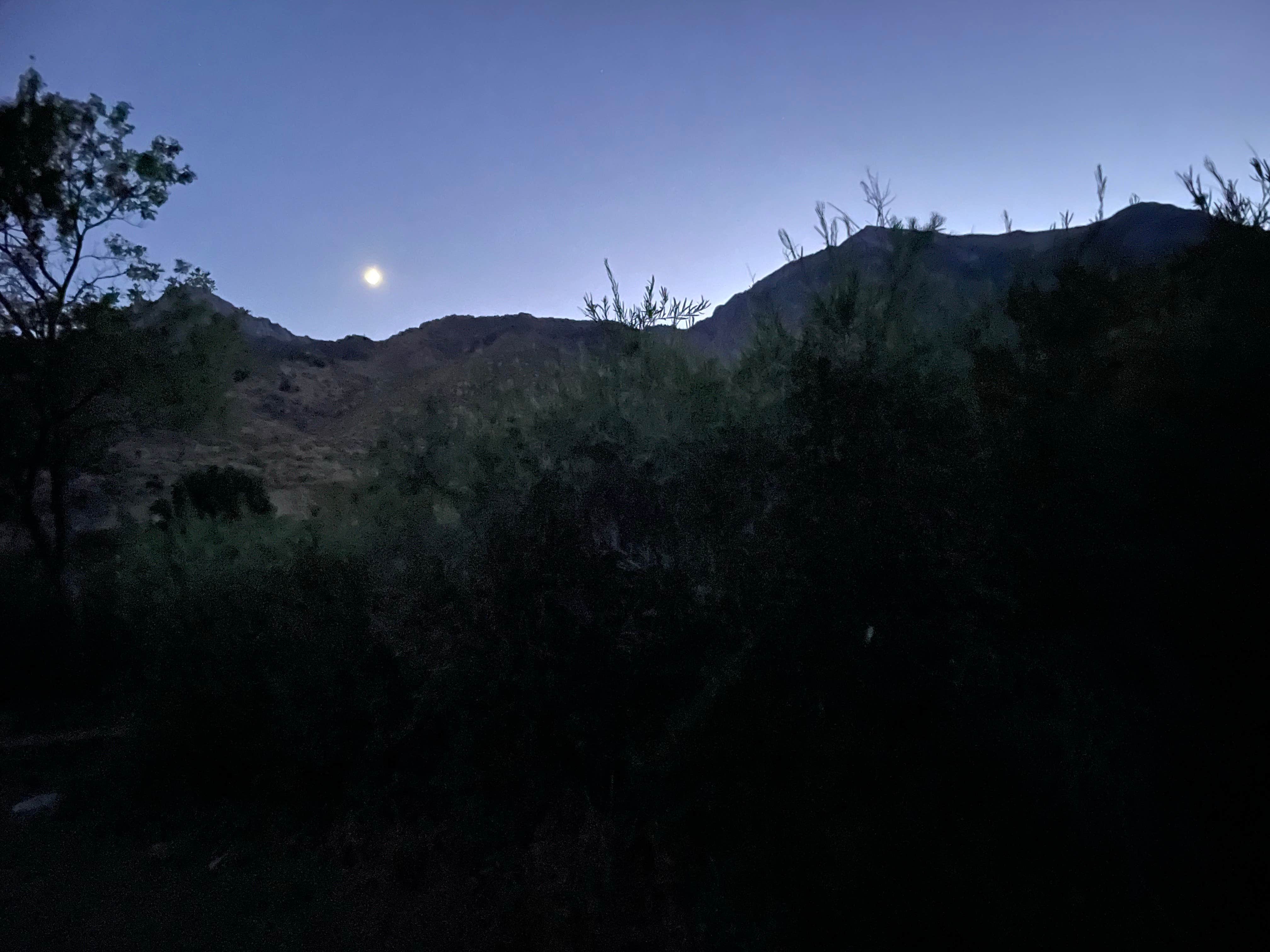 Camper-submitted photo at Inyo / Lower Grays Meadow Campground near Seven Pines, CA