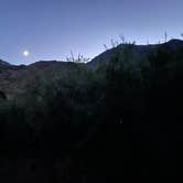 Review photo of Inyo / Lower Grays Meadow Campground by Les R., August 1, 2026