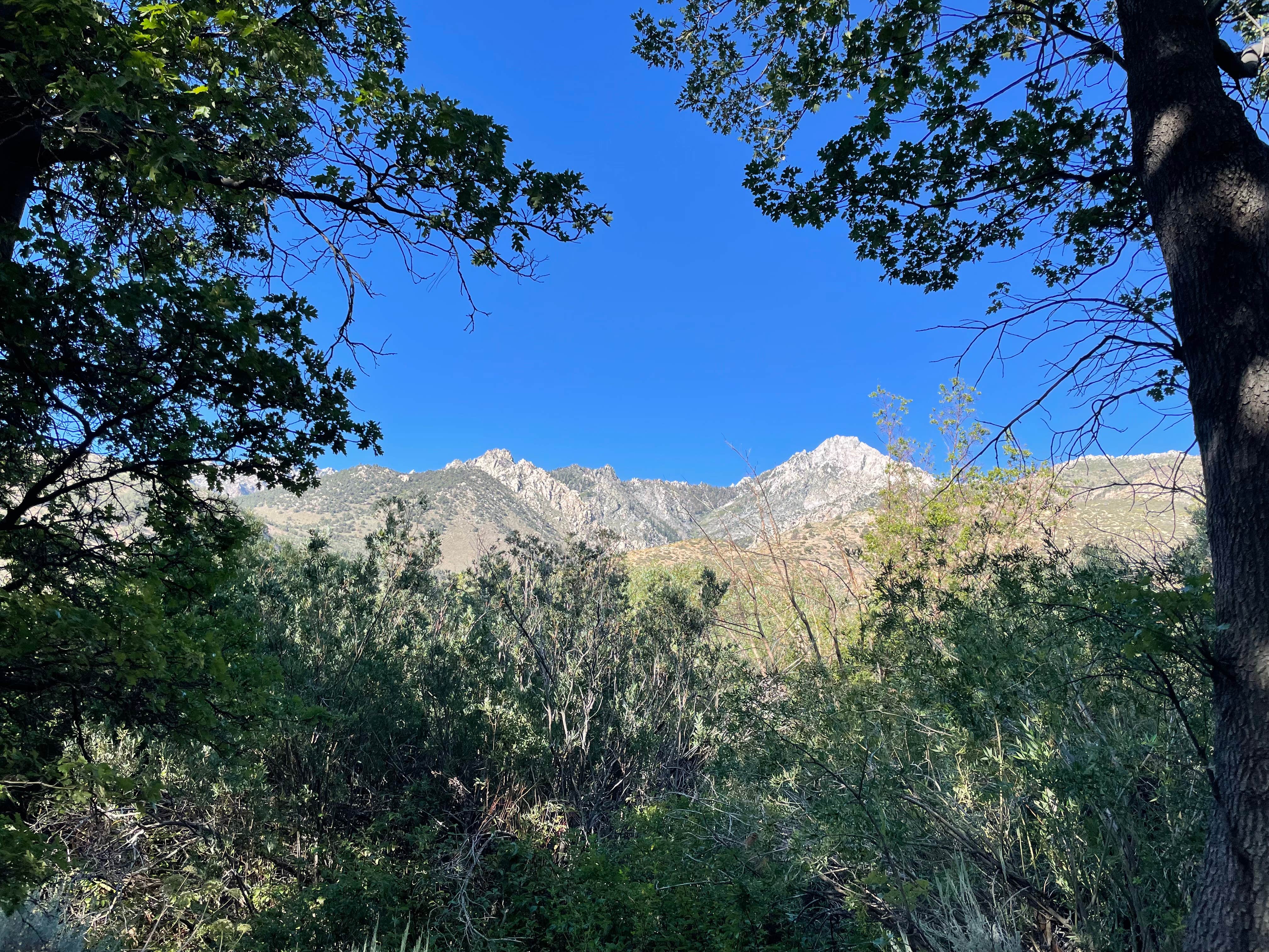 Camper-submitted photo at Inyo / Lower Grays Meadow Campground near Seven Pines, CA
