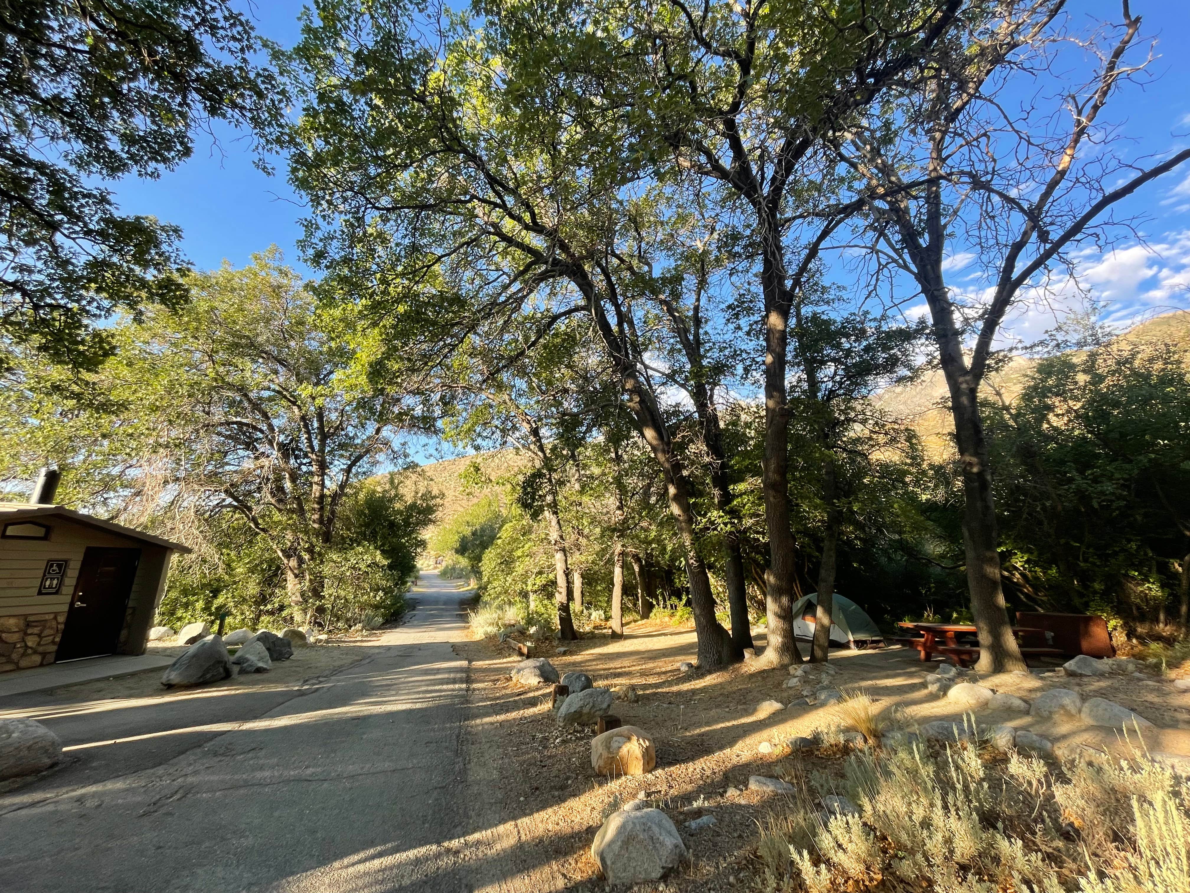 Camper-submitted photo at Inyo / Lower Grays Meadow Campground near Seven Pines, CA
