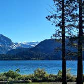 Review photo of Inyo National Forest Oh Ridge Campground by MATTHEW A. J., May 16, 2026