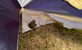 Nancy C.'s photo at Acorn Valley near Story City, IA