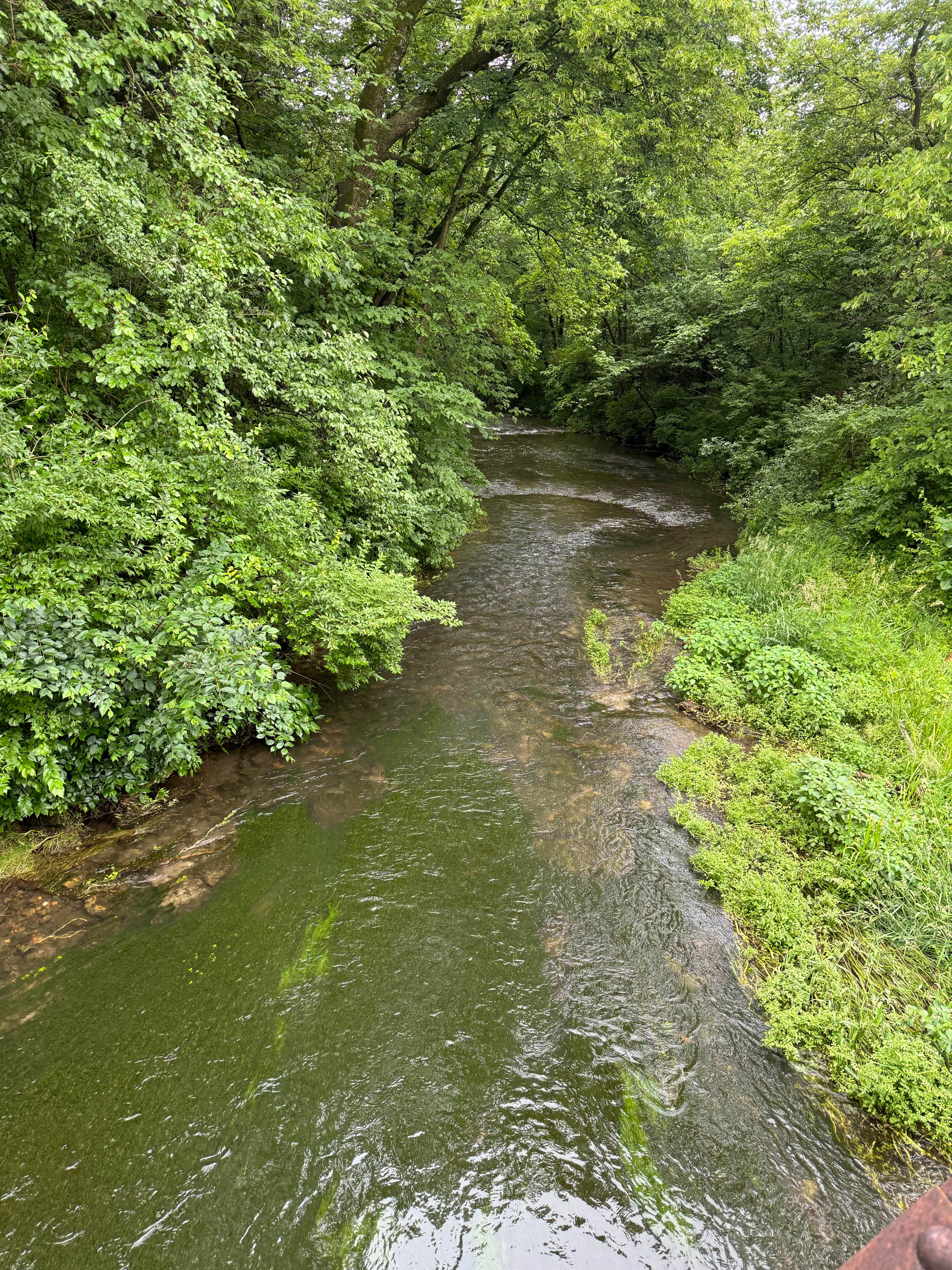 Camper-submitted photo at Baileys Ford near Central City, IA