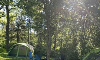 Camping near Delaware County Coffins Grove Park: Baileys Ford, Delhi, Iowa