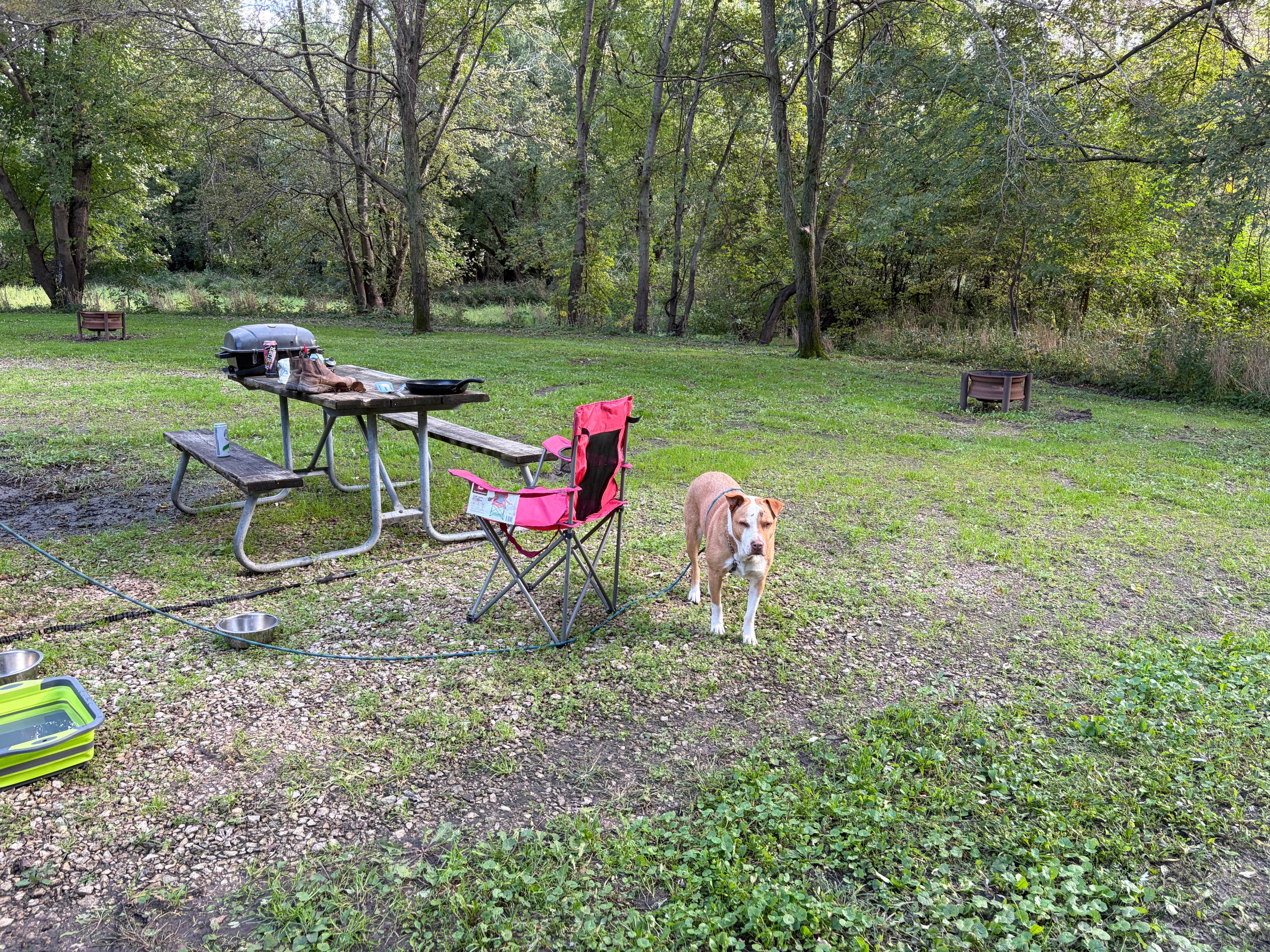 Camper-submitted photo at Black Hawk County Park near Elma, IA