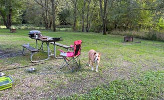 traveller 1.'s photo of camping with pets at Black Hawk County Park near Cedar Falls, IA