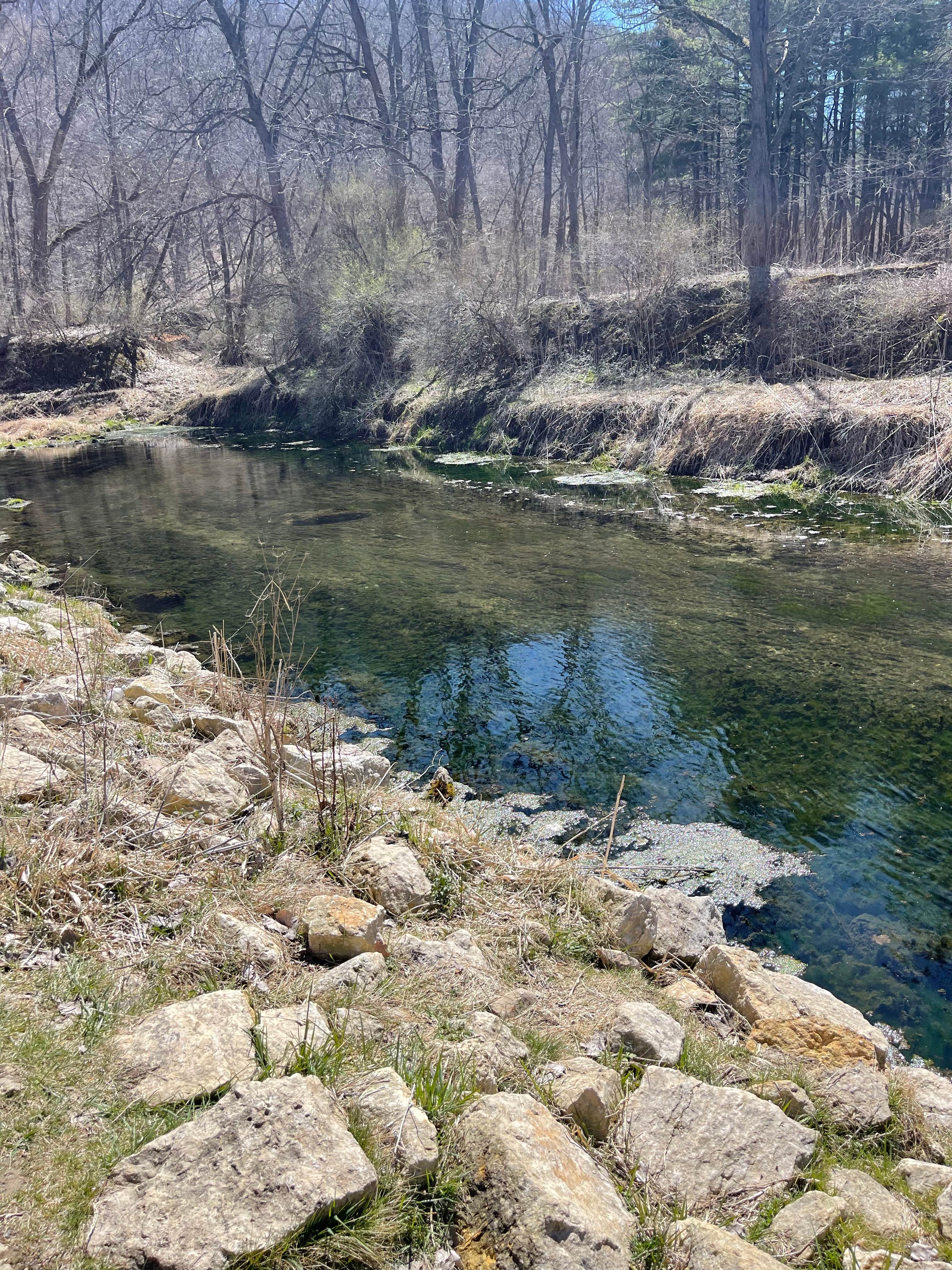 Camper-submitted photo at Bloody Run County Park near Waterville, IA