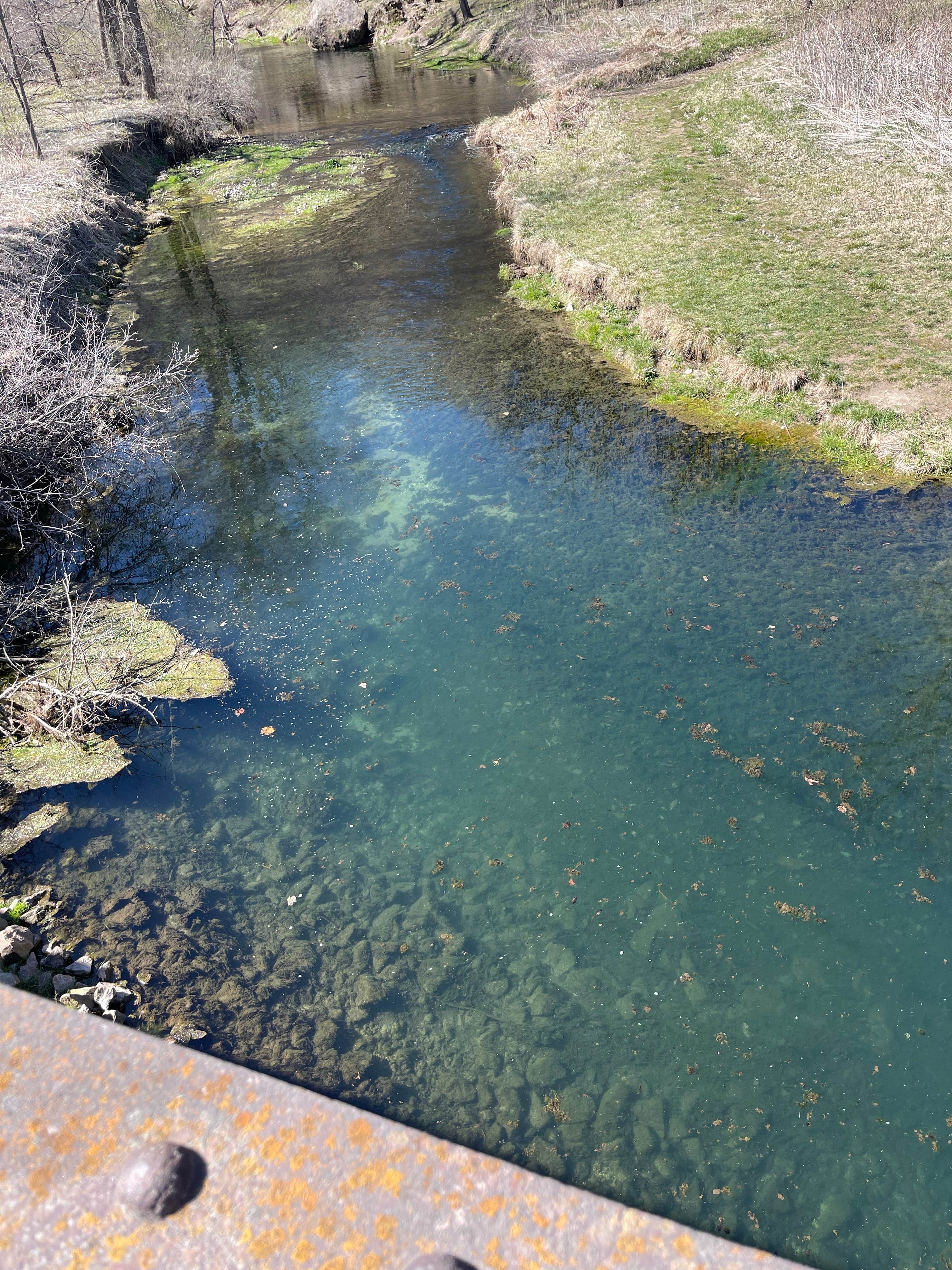 Camper-submitted photo at Bloody Run County Park near Waterville, IA