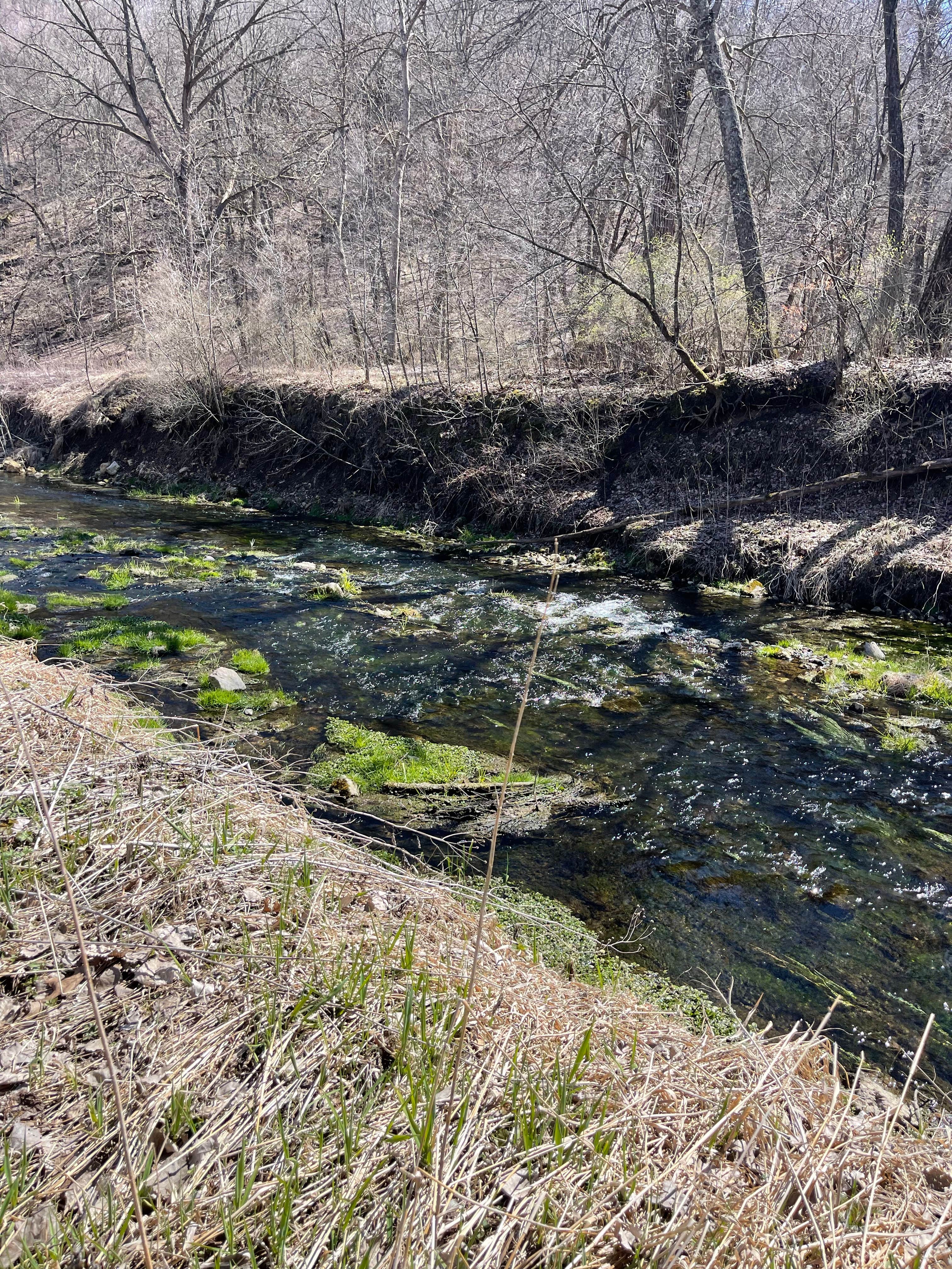 Camper-submitted photo at Bloody Run County Park near Waterville, IA