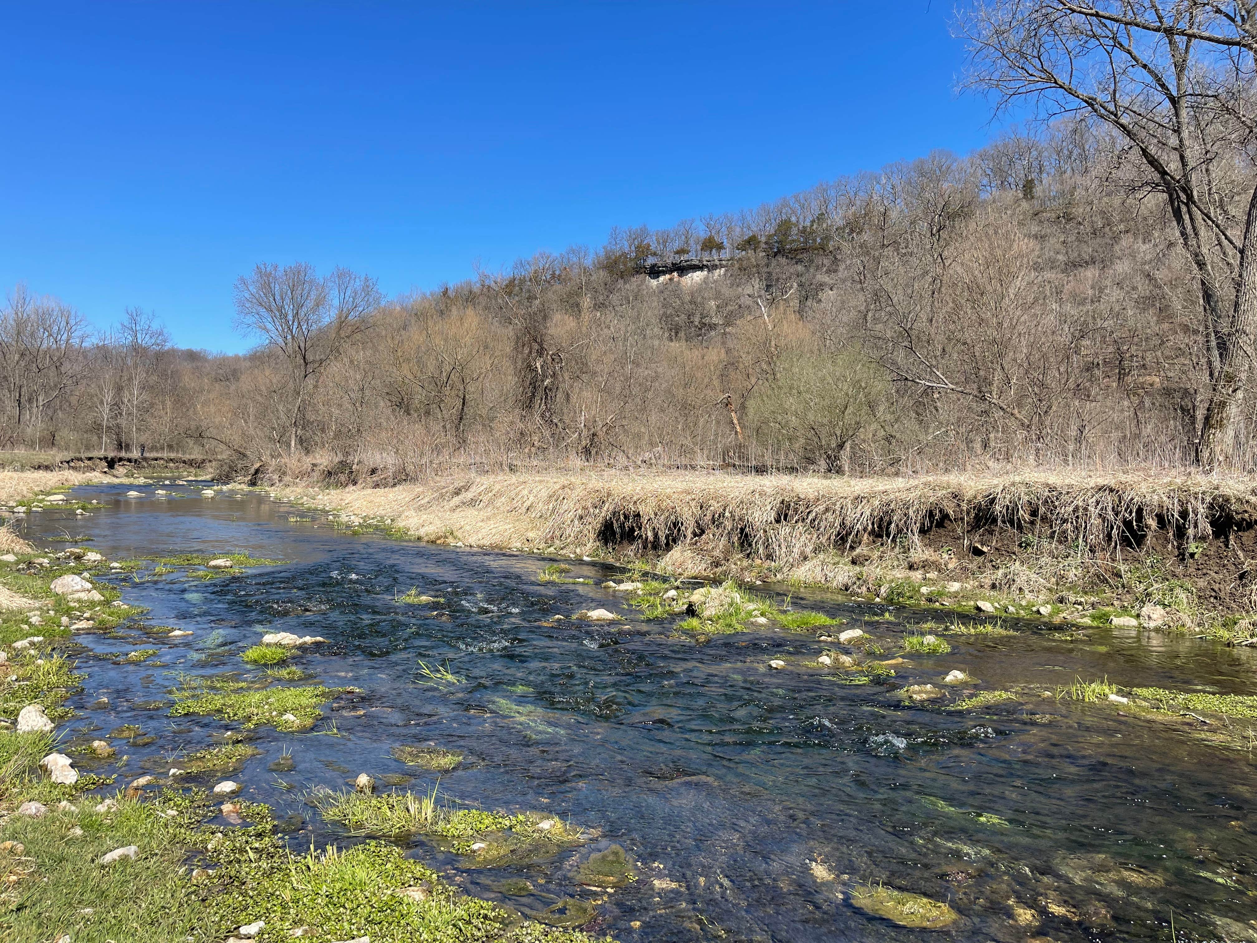 Camper-submitted photo at Bloody Run County Park near Waterville, IA