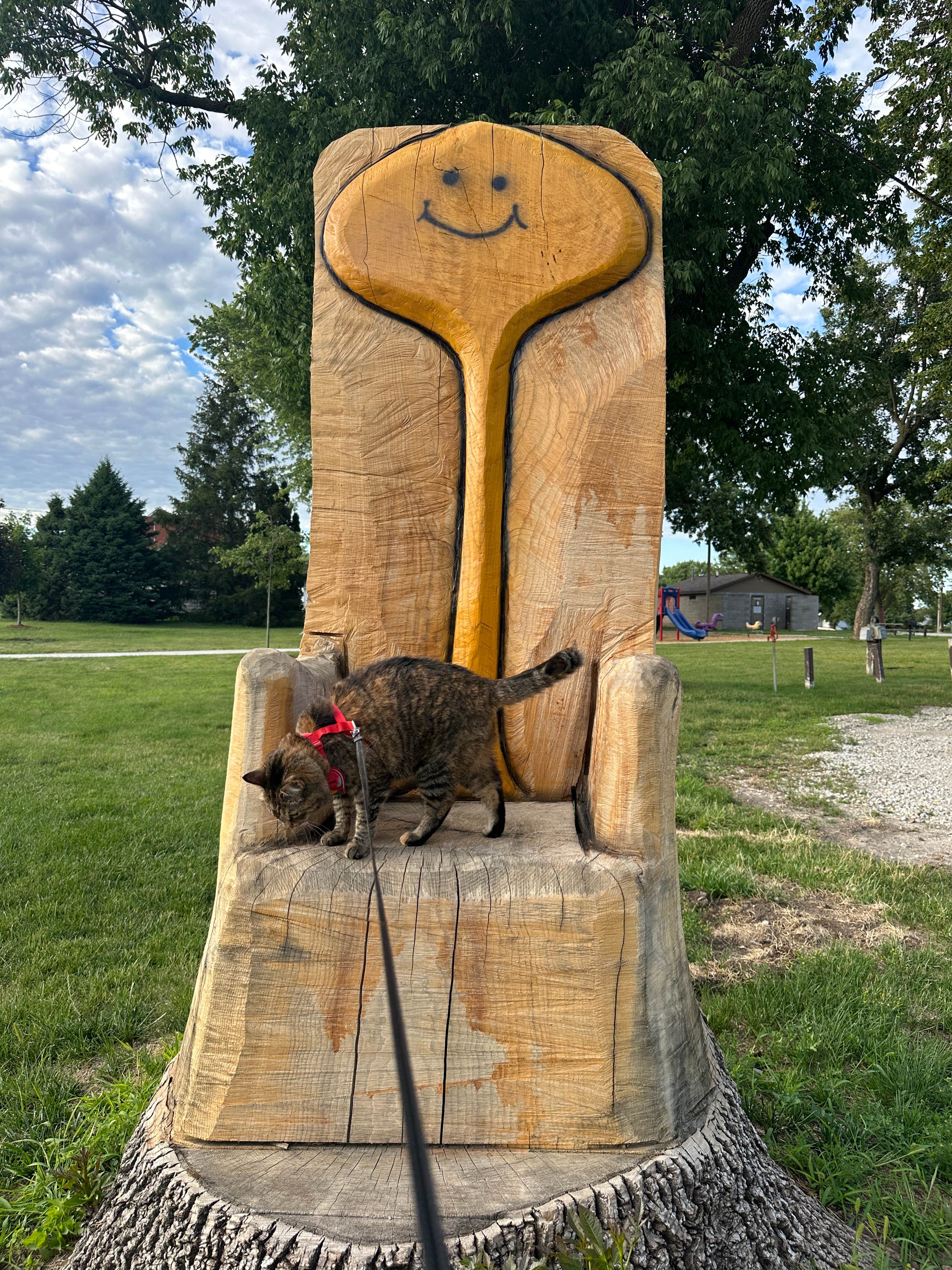 Kathy B.'s photo of camping with pets at Adair City Park near Stuart, IA