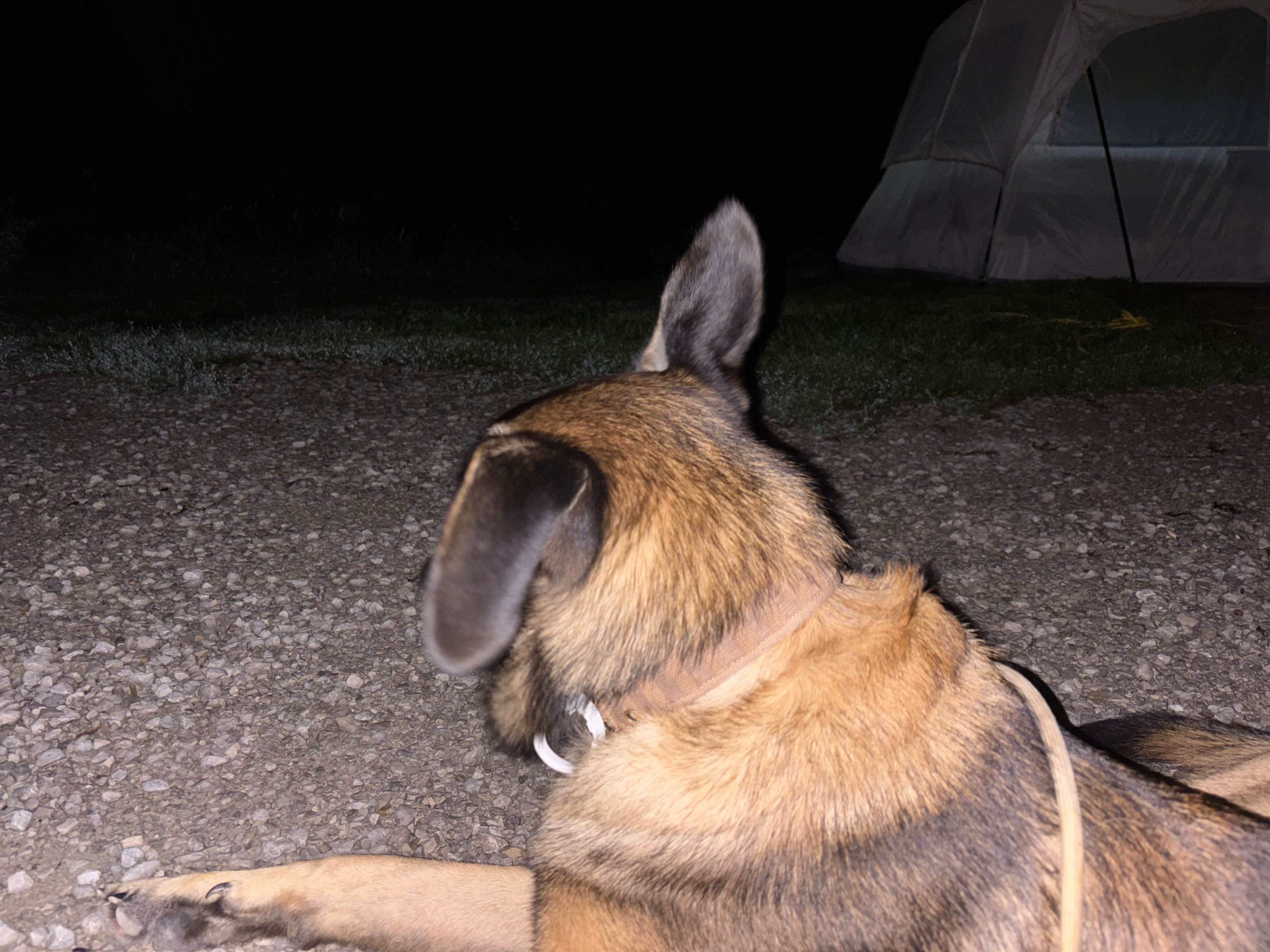 Alexandria V.'s photo at West Overlook Campground near Mount Vernon, IA