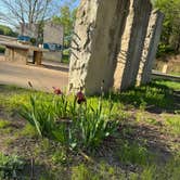 Review photo of West Overlook Campground by Janet R., May 16, 2025