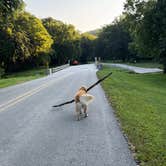 Review photo of Dolliver Memorial State Park Campground by Dennis G., August 28, 2026