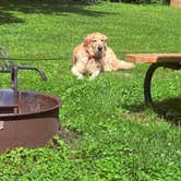 Review photo of Dolliver Memorial State Park Campground by Dennis G., August 28, 2026