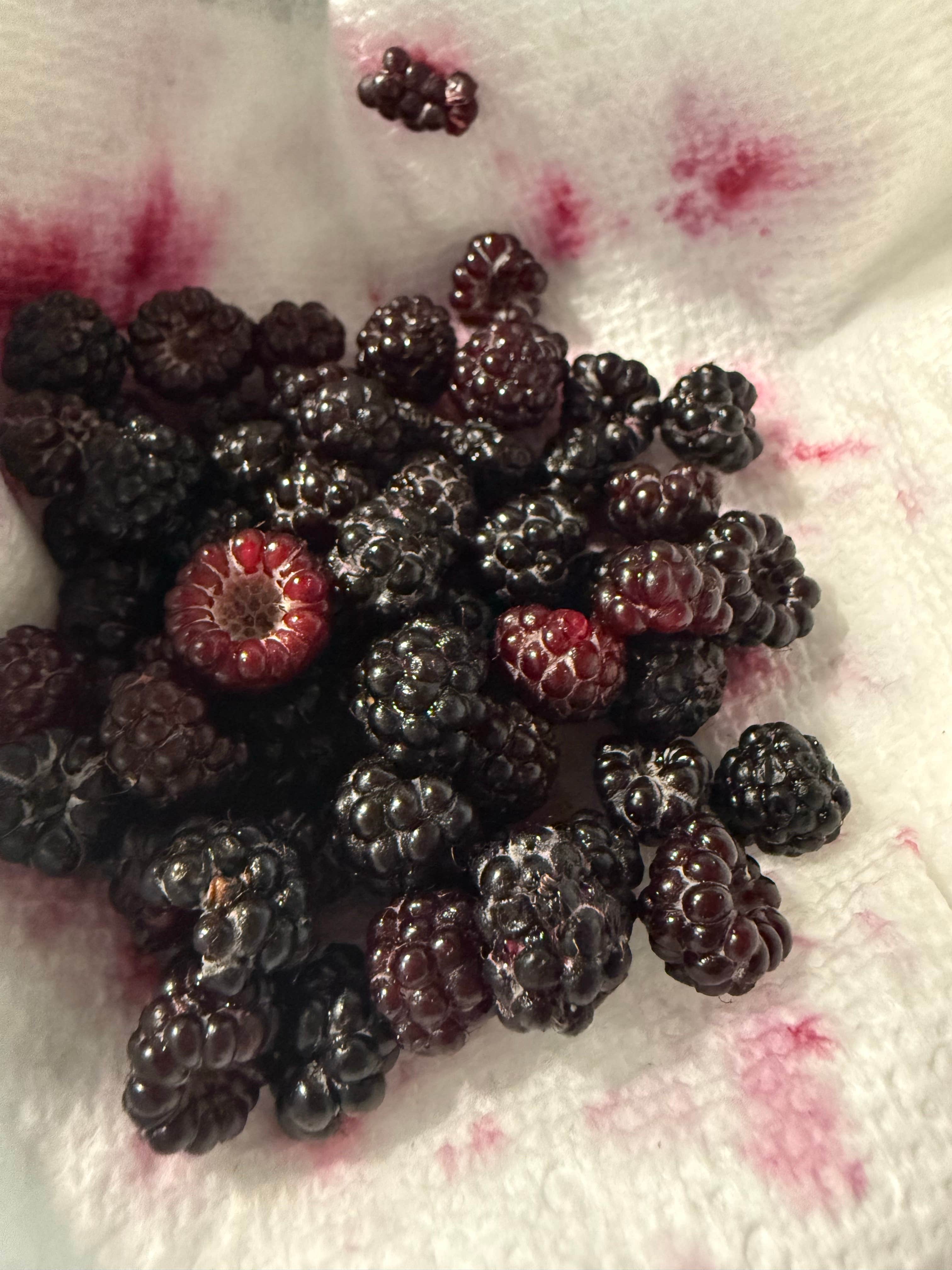 Camper-submitted photo at Don Williams Park near Lehigh, IA