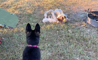 Pat F.'s photo of camping with pets at Don Williams Park near Madrid, IA
