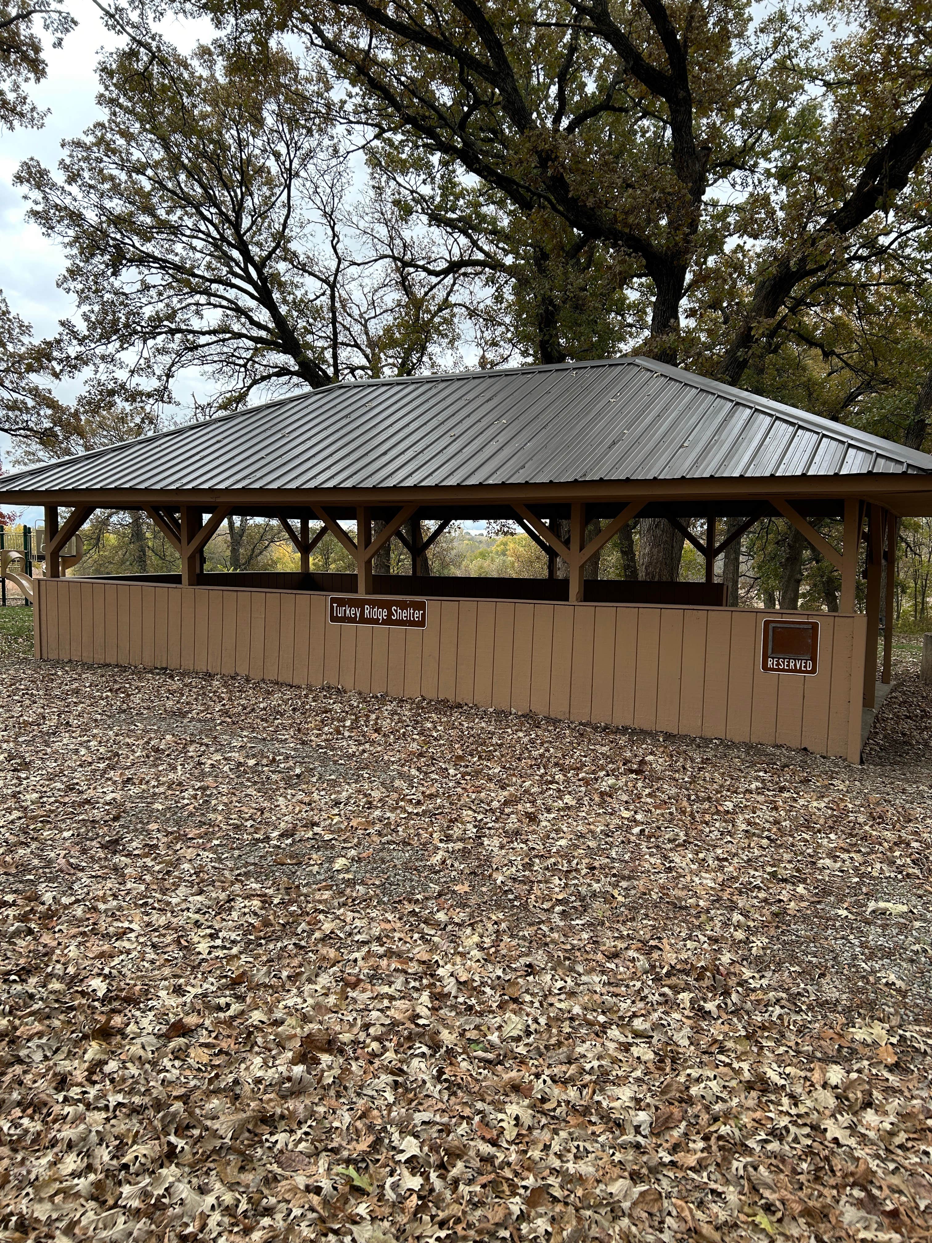 Camper-submitted photo at Fifes Grove Co Park near Mount Ayr, IA