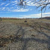 Review photo of Fifes Grove Co Park by Teresa T., November 11, 2025