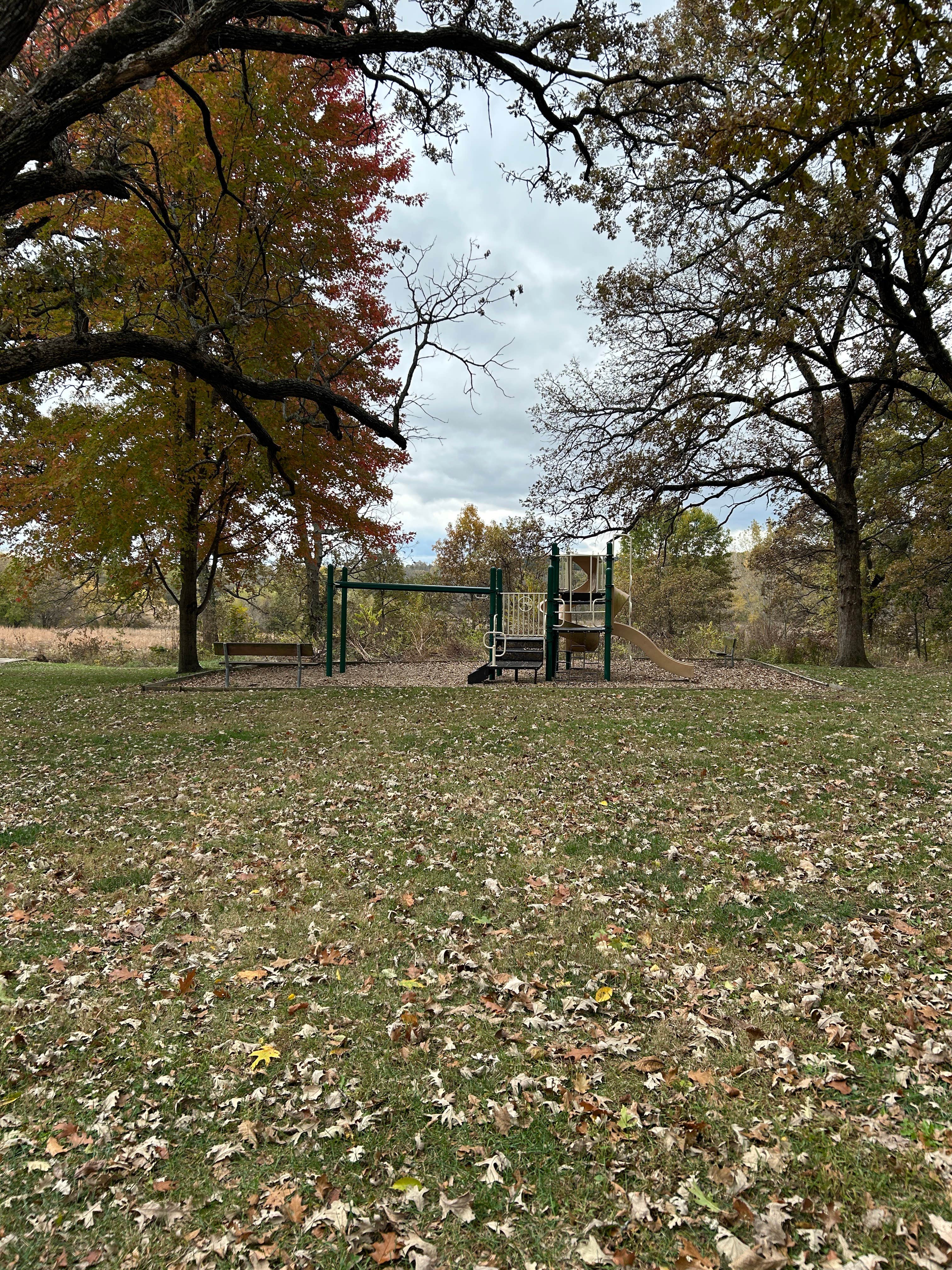 Camper-submitted photo at Fifes Grove Co Park near Mount Ayr, IA