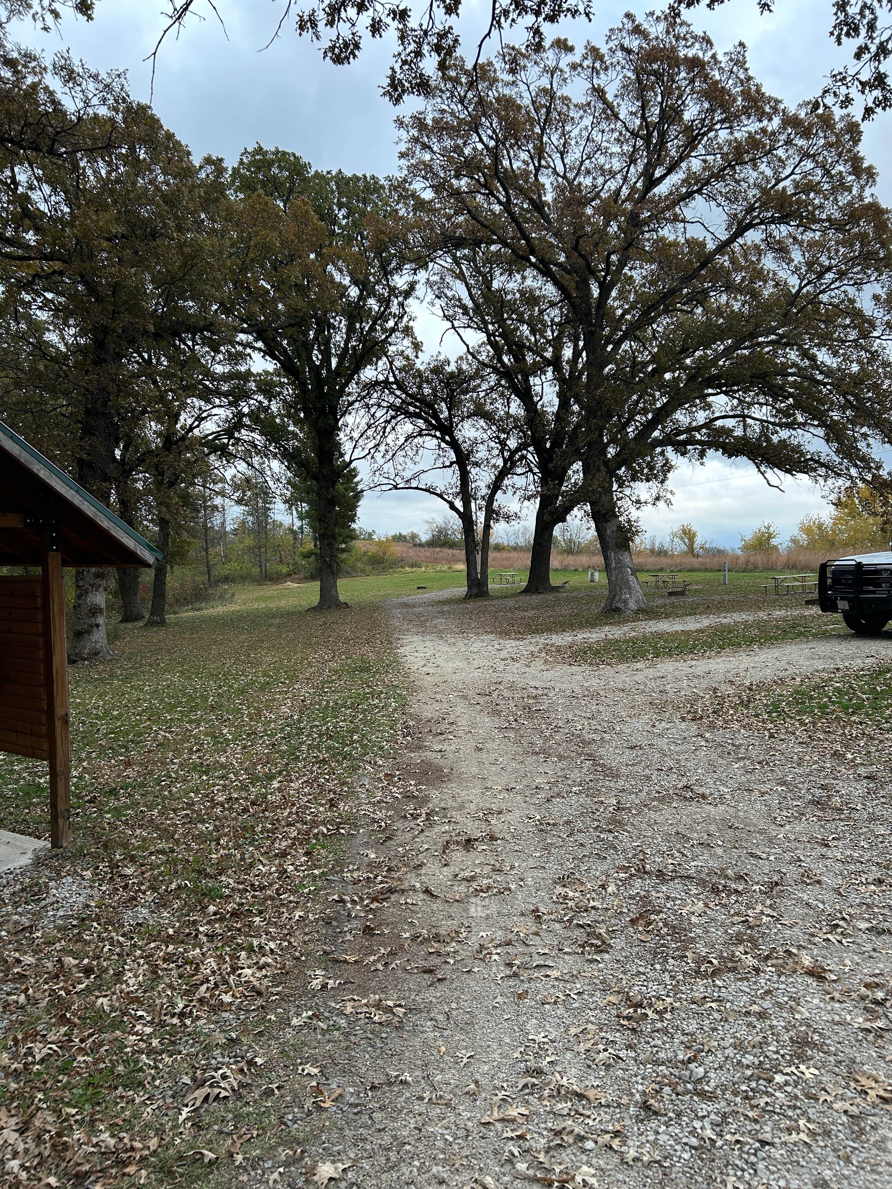 Camper submitted image from Fifes Grove Co Park - 3