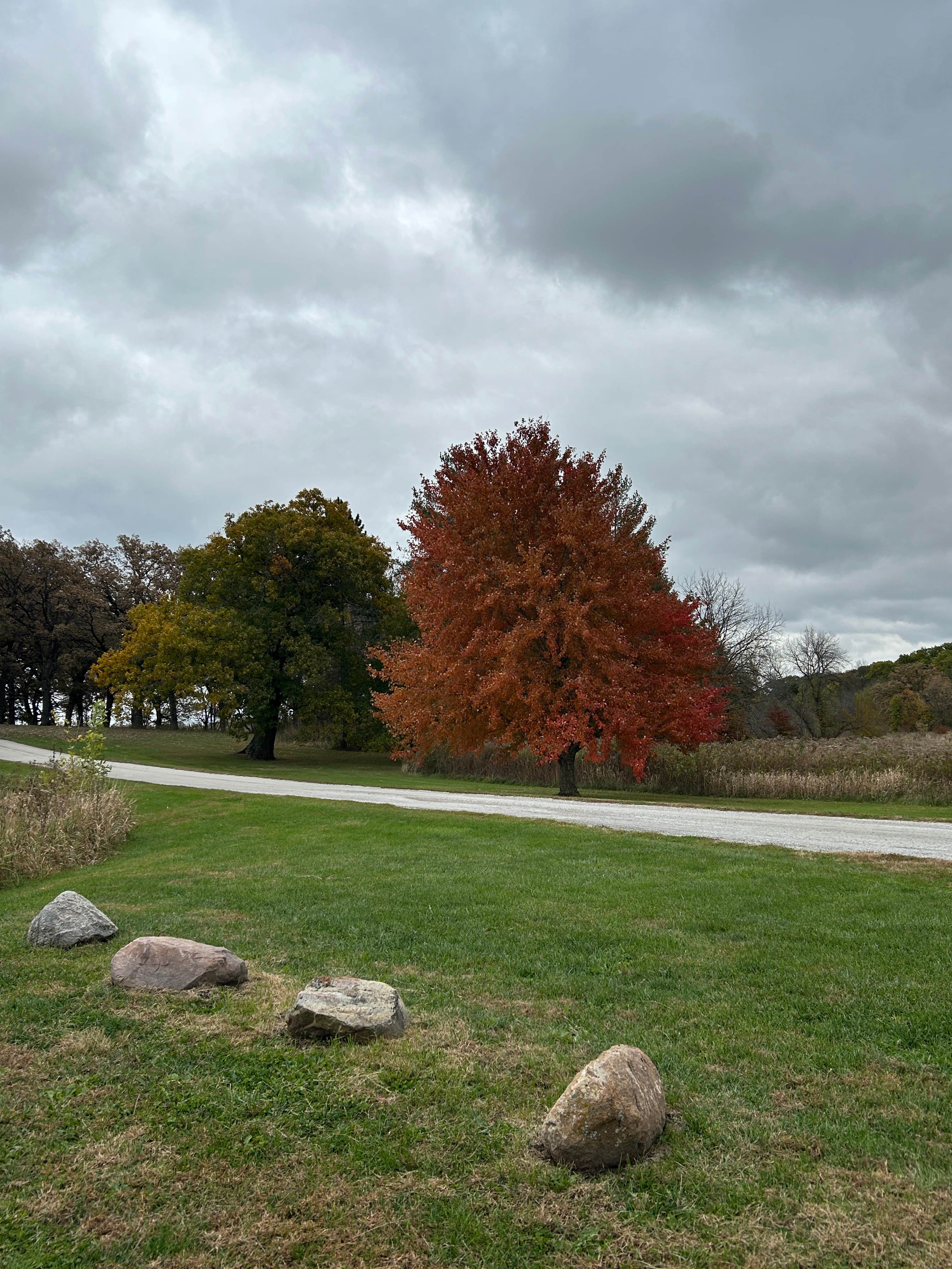 Camper-submitted photo at Fifes Grove Co Park near Mount Ayr, IA