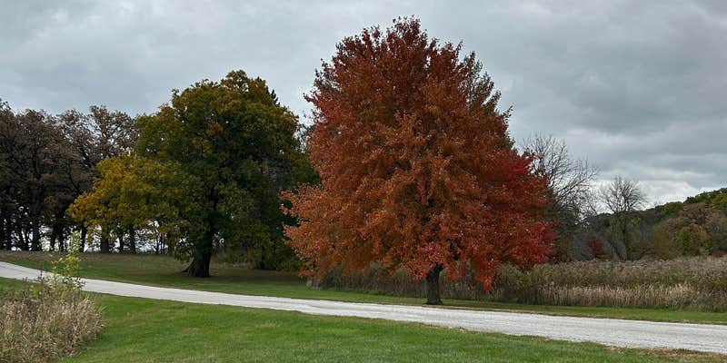 Camper submitted image from Fifes Grove Co Park