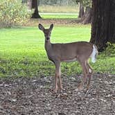 Review photo of George Wyth State Park Campground by Lauren K., September 28, 2026