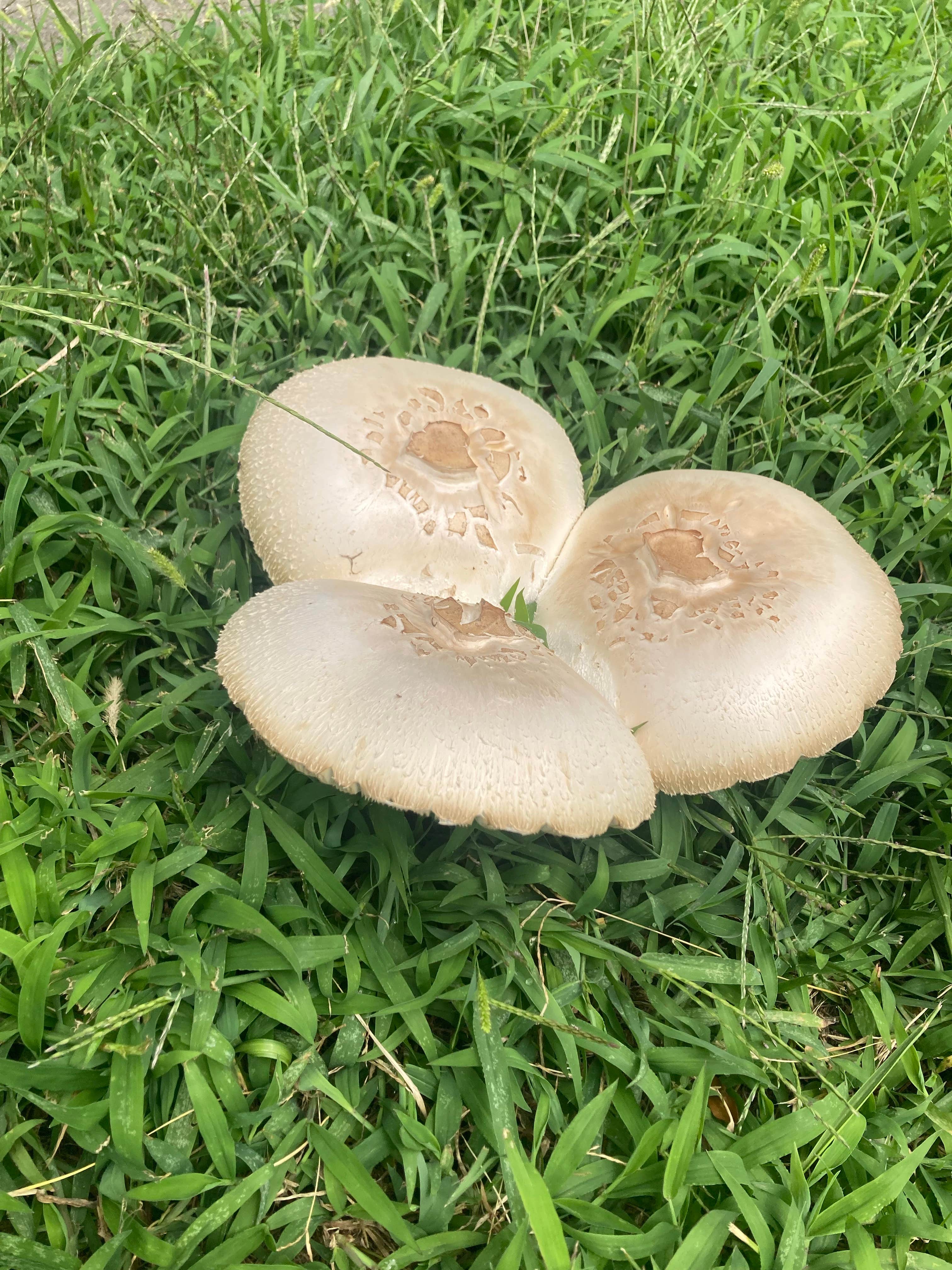 Camper-submitted photo at Glenwood Lake Park near Glenwood, IA