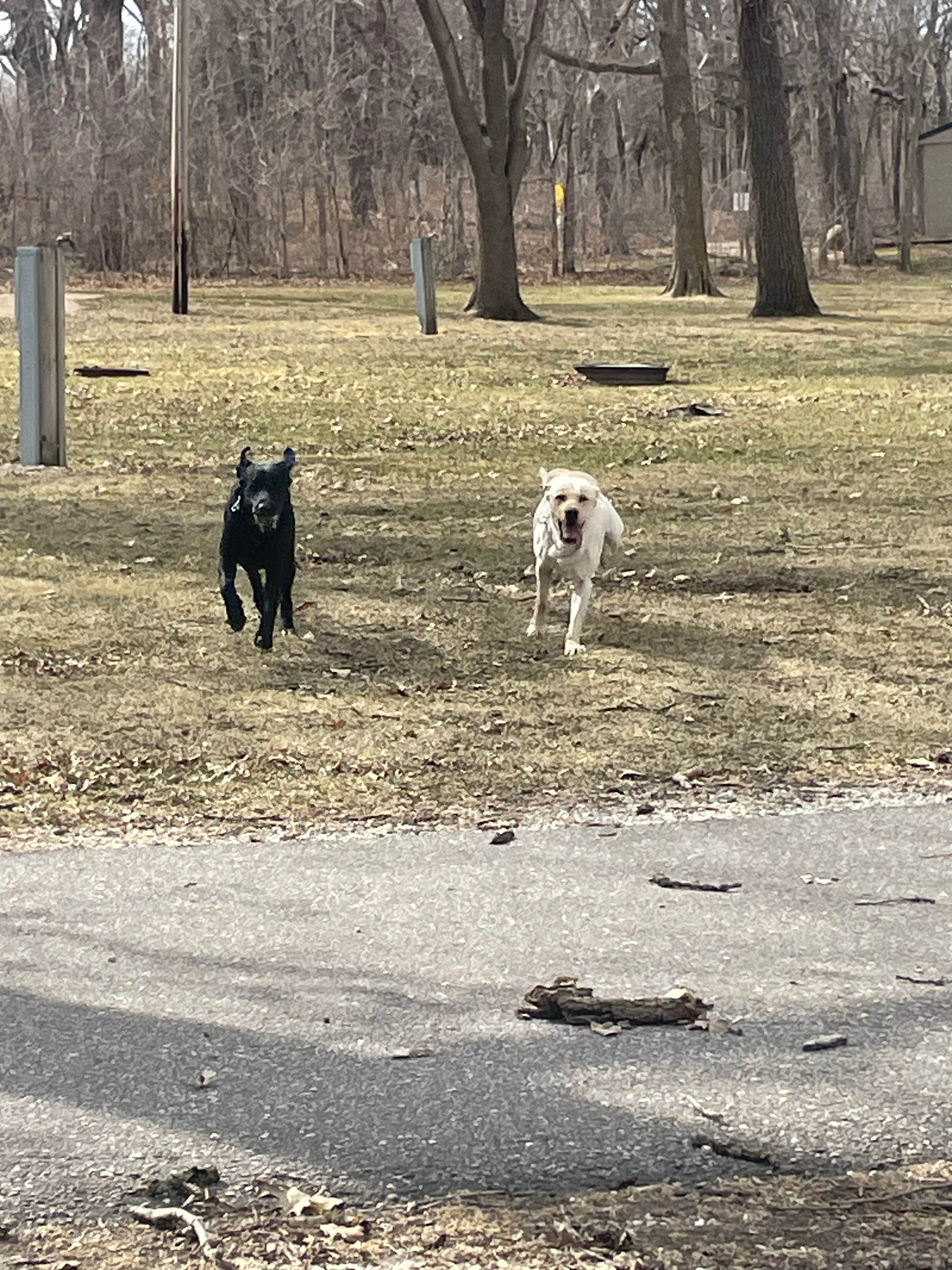 Camper-submitted photo at Halvorson Park near Osage, IA