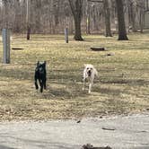 Review photo of Halvorson Park by Crystal B., April 1, 2026