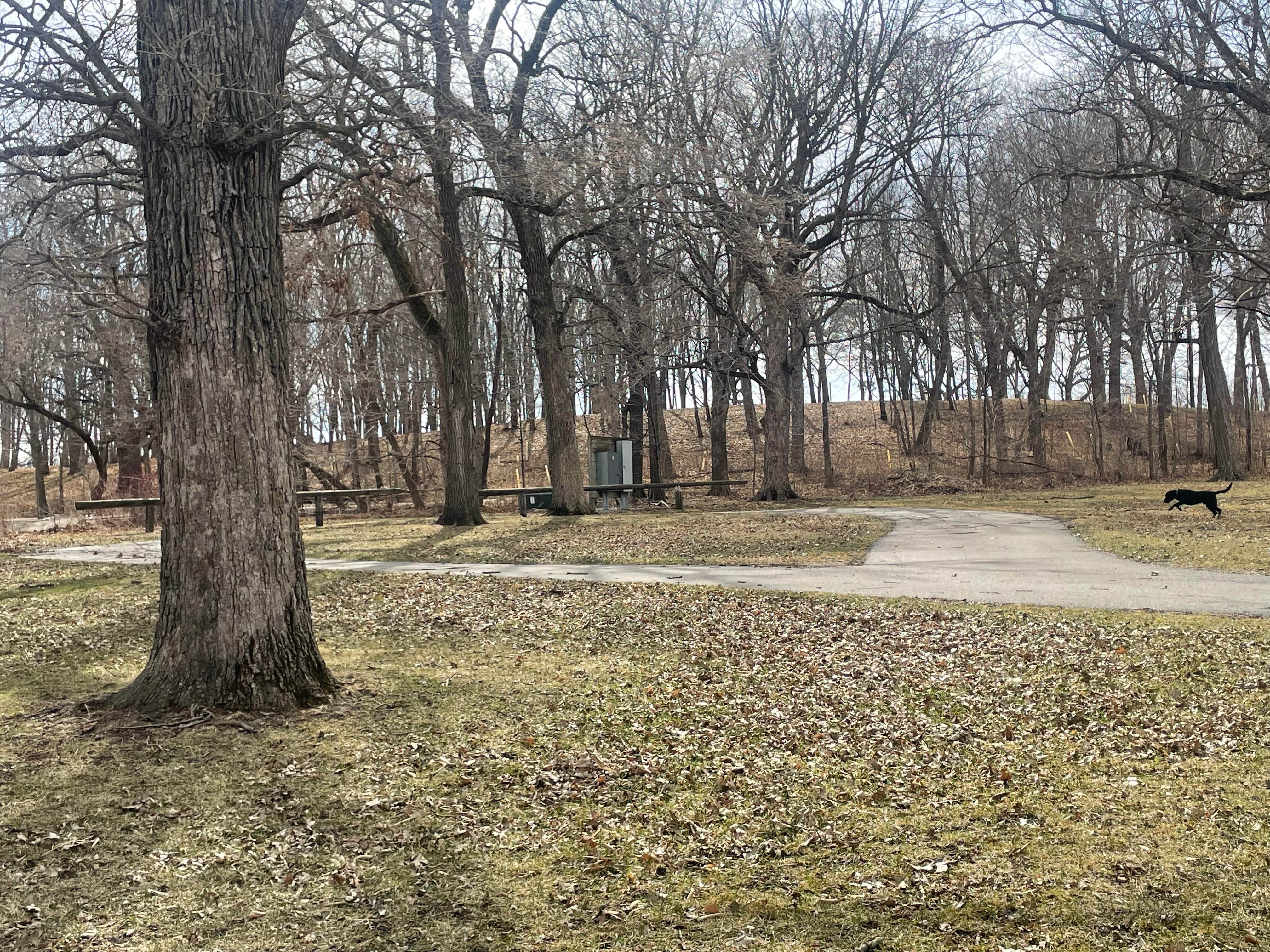 Camper-submitted photo at Halvorson Park near Osage, IA