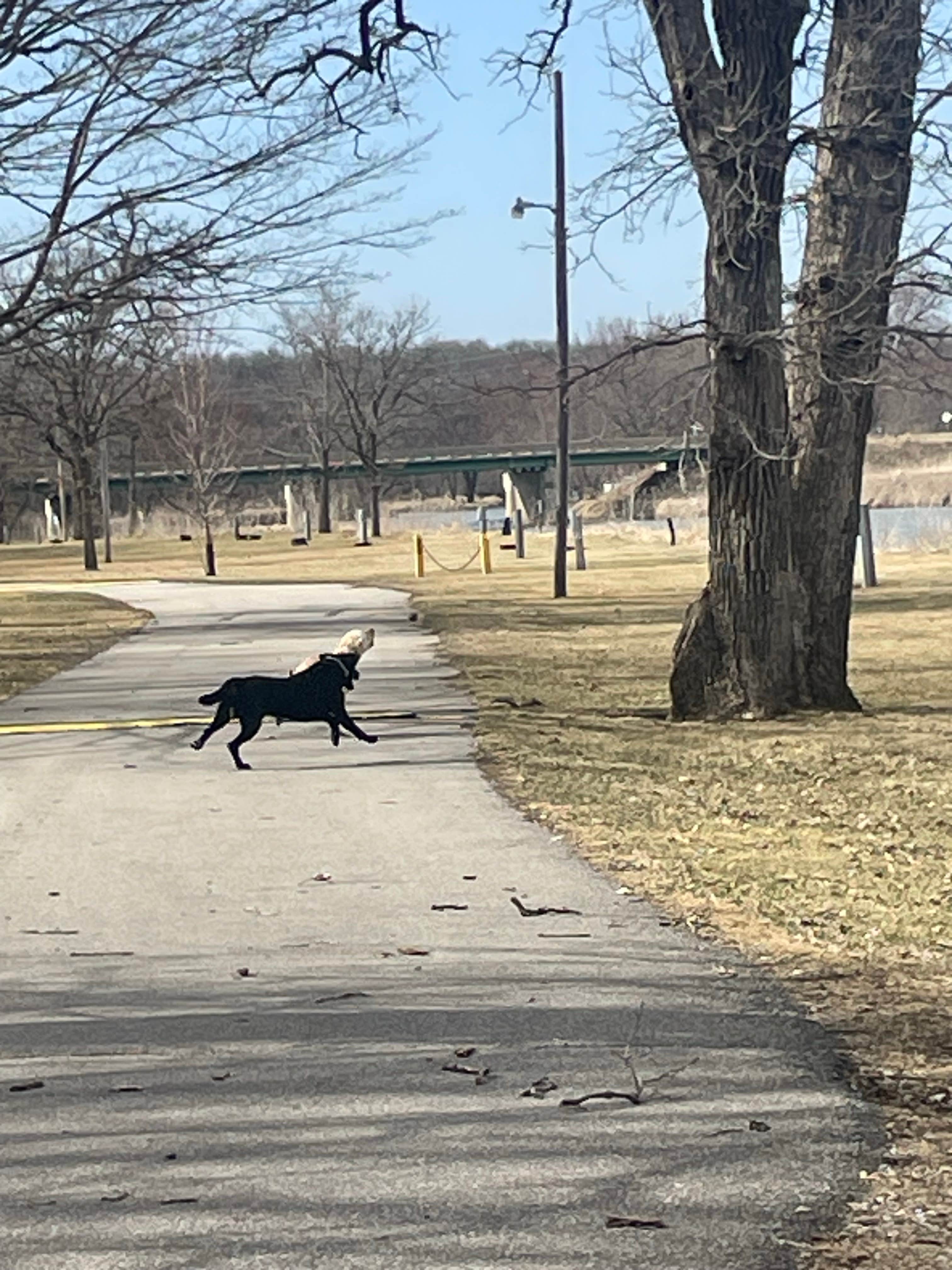 Camper-submitted photo at Halvorson Park near Osage, IA