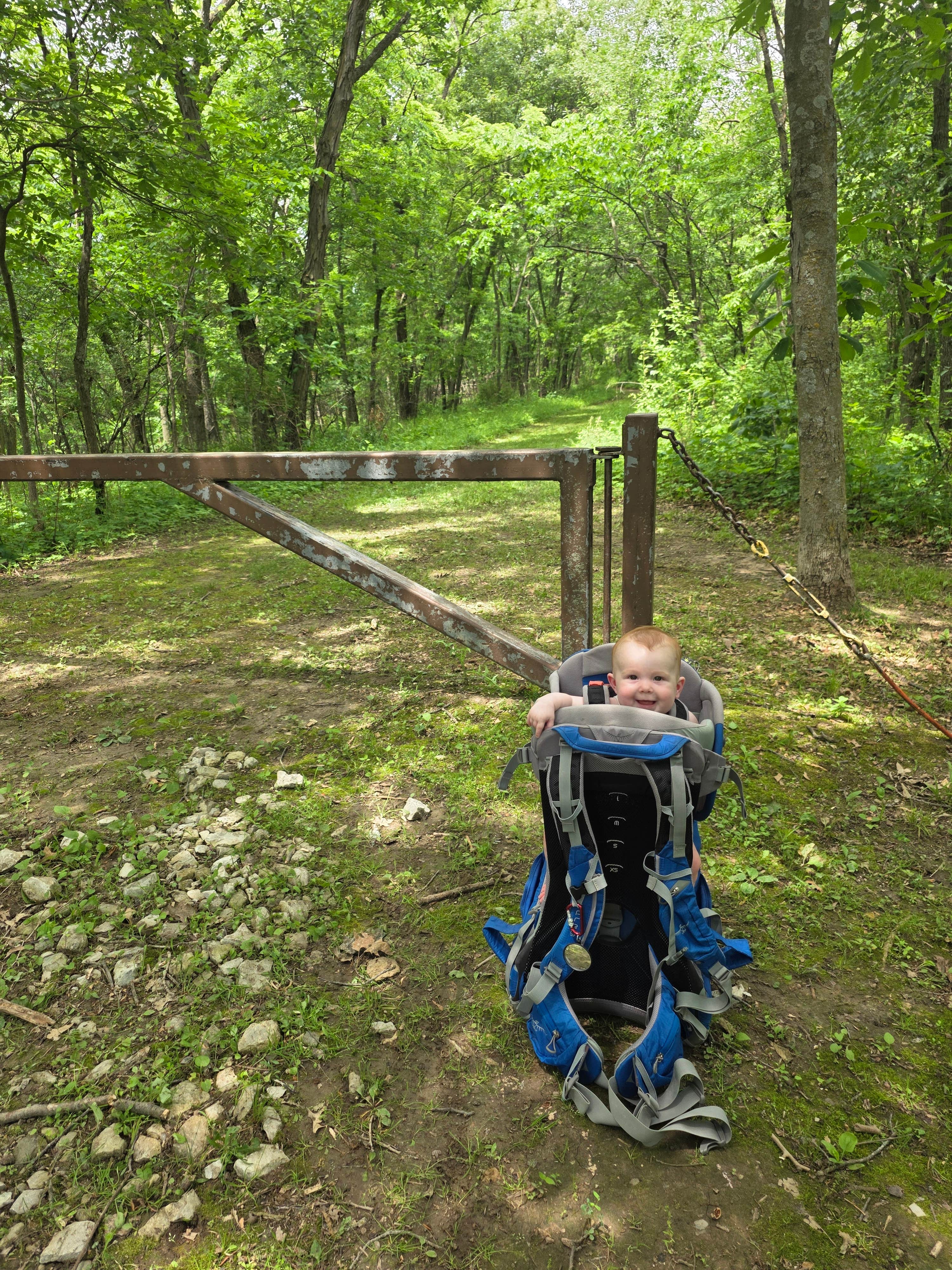 Camper-submitted photo at Hickory Hills Park near Woodburn, IA