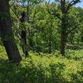 Review photo of Hitchcock County Nature Center by Sean J., May 14, 2026