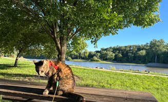 Kathy B.'s photo of camping with pets at Howell Station near Eddyville, IA